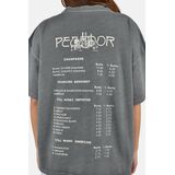 PEGADOR SIGTUNA HEAVY OVERSIZED Γυναικείο Κοντομάνικο - Vintage Γκρι