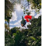 SPRAYGROUND WAVEBREAKER SHARK Τσάντα Πλάτης
