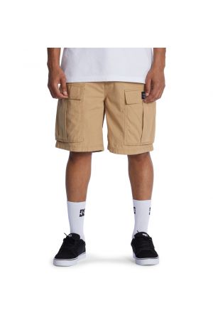 DC TUNDRA CARGO SHORTS - Incense